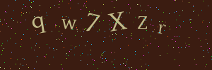 Validation image