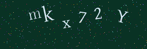 Validation image